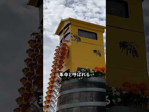 蜂も人も傷つけない。新しい養蜂の形