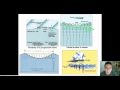 Understanding Ocean Waves and Their Properties