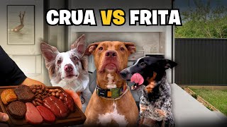 Meus Cachorros Preferem Carne Crua ou Frita?