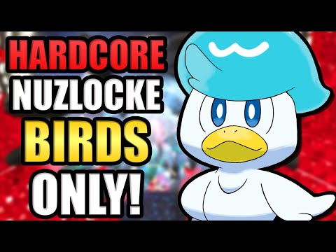 Pokémon But Only BIRDS!