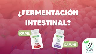 ¿Fermentación intestinal? Tenemos una solución natural #clinicadrvega #saluddigestiva #gases