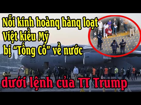 Nỗi kinh hoànq hànq loạt Việt kiều Mỹ bị “Tống Cổ” về nước dưới lệnh của TT Trump