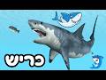 חידון על כרישים