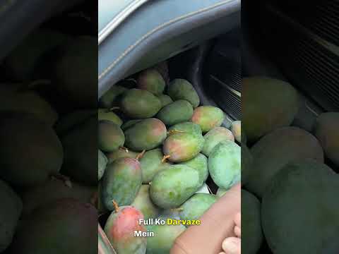 He Used a Car Window to Cut Fruit... Then THIS Happened!"