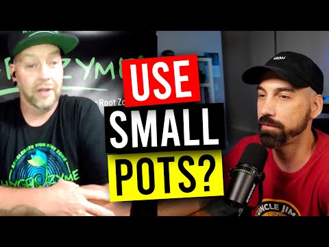 Organic Gardening In Small Containers Successfully! (Garden Talk #142)