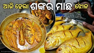 Enjoying Sea Fish Curry & Rice || ବର୍ଷା ପାଗରେ ଶଙ୍କର ମାଛ ଝୋଳ 😋🍛🍚.