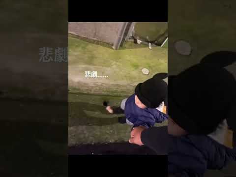 奇跡の瞬間４選 #爆笑 #おもしろ動画 #奇跡 #ばずれ #チャンネル登録お願いします #おすすめにのりたい