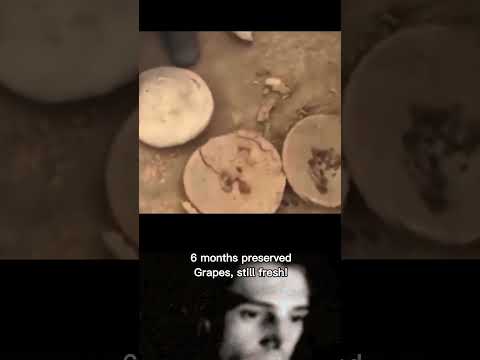 Cheapest way to preserve food #shorts #food #ytshorts