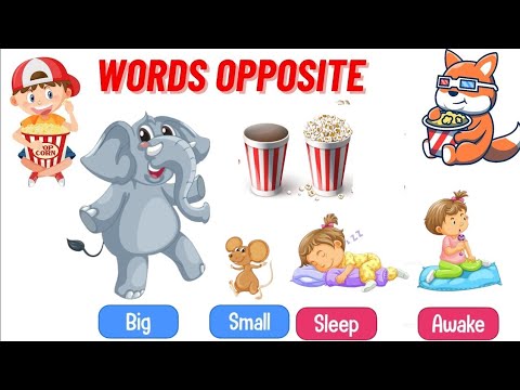 Learn Words Opposite | Activity for Kids | Opposite Words | Educational Video for Kids @kidzoniapk