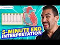 Heart Anatomy and Function Assessment