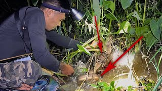 Nó Lôi Vô Bụi Môn Rồi | Cắm Câu Mồi Trùng . Fishing with a bamboo rod
