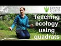 Understanding Quadrats in Ecology