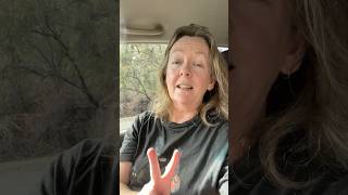 Exciting Update On Next Black Cockatoo Video #australiananimals #aussiebush