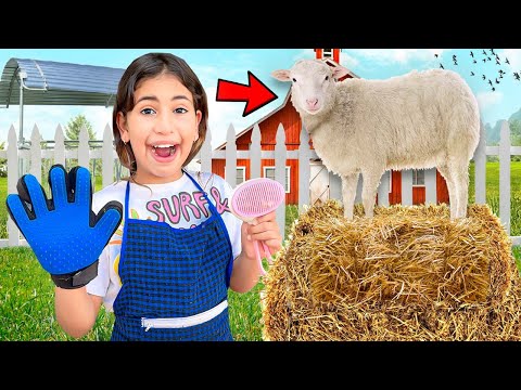 وأخيرآ…‼️😲 رانيا إعتنت بخروف عائلة لعزاوي 🐑😱وتكلفات بتنضيف غرفة (مسعود💩💔)