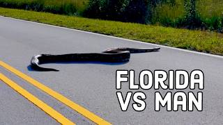 Florida Man Strikes Back | Wildest Florida Fails