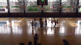TOROLA Basket Team Příbor - SK Renocar Podolí (NF U11 miniMIX, o 5 místo, Brno, 24.4.2016)