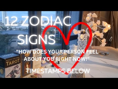 ALL SIGNS! ❤️ UPDATE: THEIR FEELINGS FOR U RIGHT NOW!✨ TAROT READING ZODIAC TODAY FEBRUARY 2025