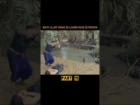 bayi ular lahir akibat di sabet suaminya #
