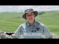 Montana Dinosaur Trail Insights