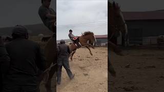 This Boy sitting on horse suddenly horse angry #shorts