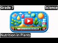 Nutrition and Photosynthesis Concepts