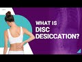 Understanding Disc Desiccation and Spinal Health