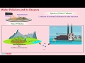 Water Pollution and Aquatic Life