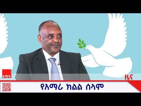 "የሰላም ማስከበርና የውይይት ተግባራት አሁን ላይ የተሻለ ሰላም እንዲመጣ አስችሏል" እሸቱ የሱፍ (ዶ.ር)