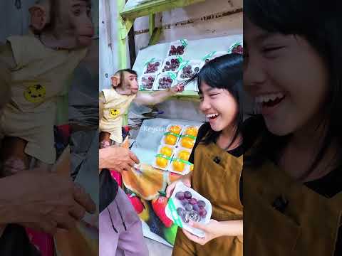 Key Emang Iseng 😂 #shortvideo #short #monkey #monyet #animals