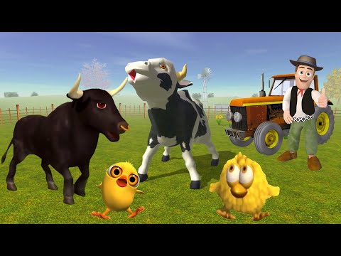 LA VACA LOLA, POLLITO PIO, EL TORO, Y ZENON, BAILAN ALEGRES LADO A LADO EN LA FINCA/ DANCING ANIMALS