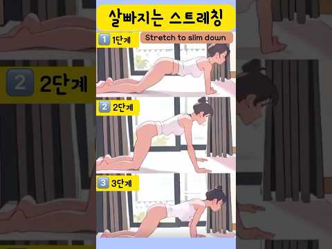 살빠지는 스트레칭 + 코어운동 #코어강화 #코어운동 #전신스트레칭 #요가스트레칭 #써니요가 #홈트는써니요가 #sunnyyoga