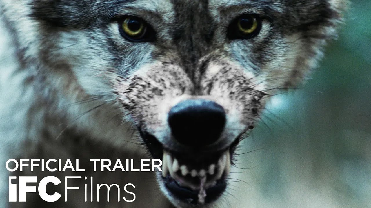 Out Come the Wolves trailer thumbnail