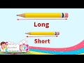 Understanding Lengths: Long and Short