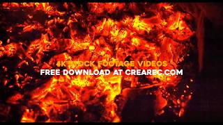 Ember – Free stock footages
