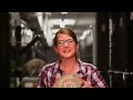 Fossil Sharks and Their Mysteries