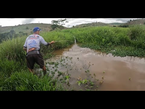 Depois da chuva o córrego transbordou e tinha peixe em cada poço, PESCARIA CAIPIRA