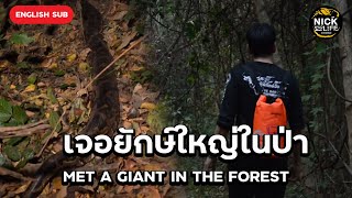 เจอยักษ์ใหญ่ในป่า
