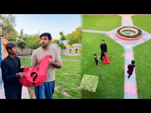 Ali Surprised Birds Lay Aya ❤️ Wo Bhi Tory Mey 😁