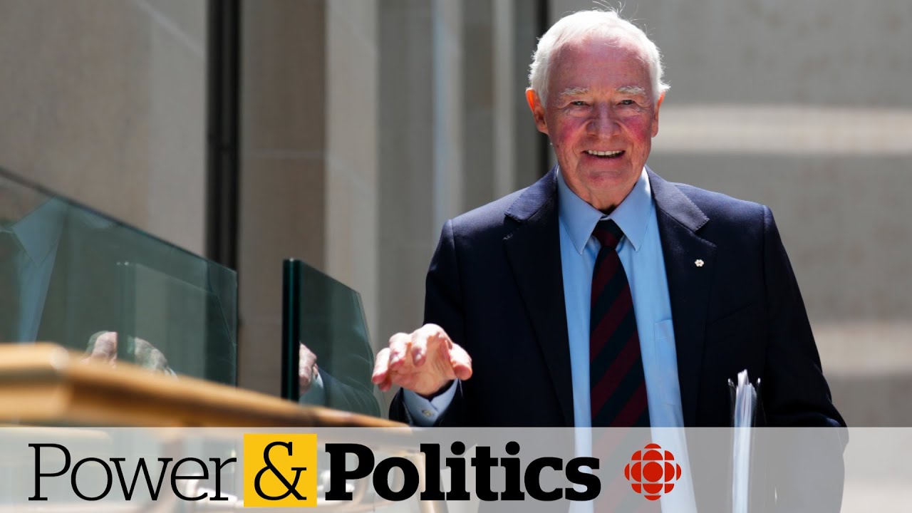 MPs Vote in Favour of Removing David Johnston as Special Rapporteur