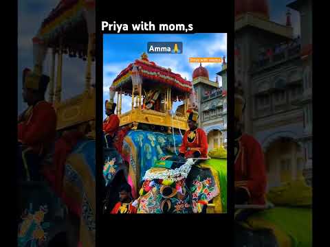 ಅಮ್ಮನನ್ನು ಹೊತ್ತು ಗಾಂಭೀರ್ಯದಿಂದ ನಡೆದ ಅಭಿಮನ್ಯು 🙏 ಎಲ್ಲರೂ ಈ ಕ್ಷಣ ಅಮ್ಮನನ್ನು ಕಣ್ತುಂಬಿಕೊಂಡಿದ್ದಾರೆ 🙏 #ambari,