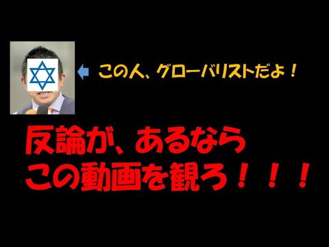 反グローバリズム政党とは今日、お話しするこの仕組みを理解しこの仕組みに抗っている政党ですよ！あなたの推し政党は大丈夫ですか？ #グローバリズム ＃つばさの党 #黒川あつひこ #神谷宗幣