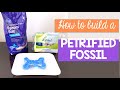 Fossilization and Per Mineralization Concepts