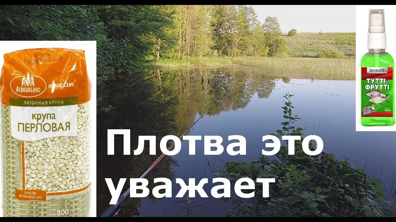 Плотва на перловку с Тутти - Фрутти. РЫБАЛКА