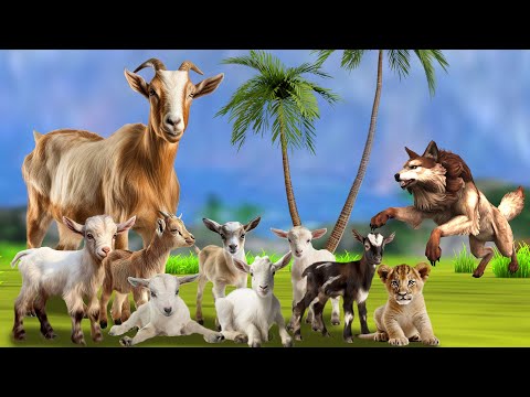 बकरी के सात बच्चे शेर शावक और भेड़िया The Wolf & The Seven Little Goats Lion Cub Bakri kahani