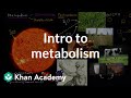 Biological Molecules and Energy Processes