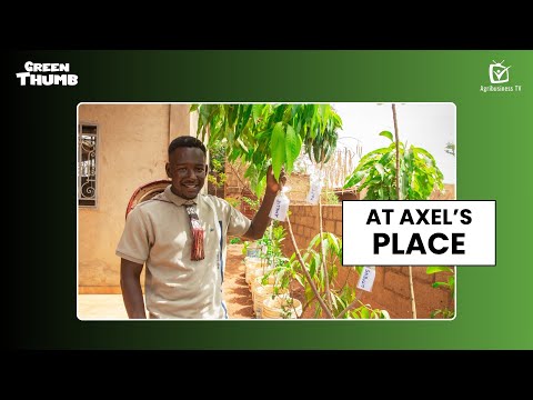 Green Thumb at Axel's place
