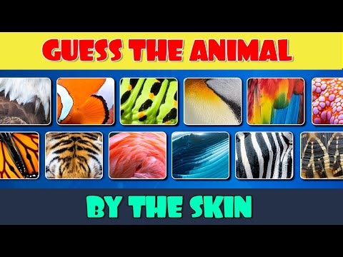 Guess 50 Animals by the Skin