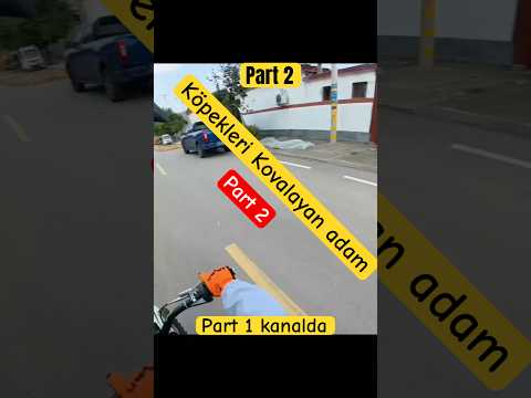 Köpekleri kovalayan Adam part 2