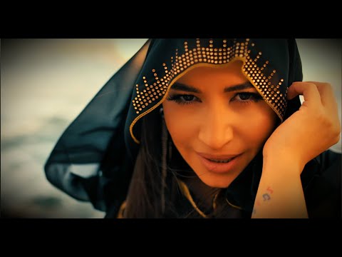 Printesa de Aur - LULE M/V