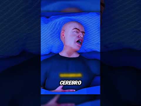 ¿Por qué los sueños de caída se sienten reales?